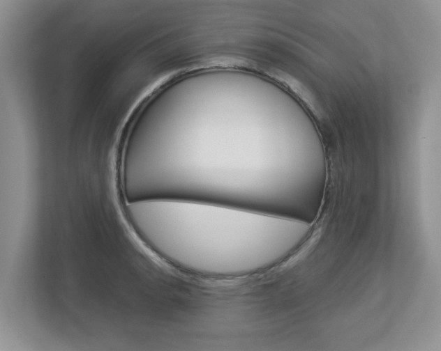 X0000112951134200908241021