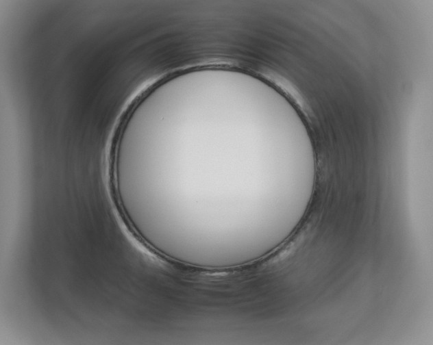 X0000112951135200908241021