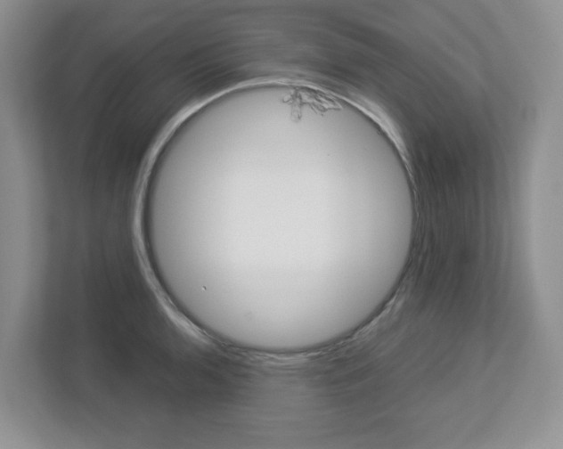 X0000112951136200908241021