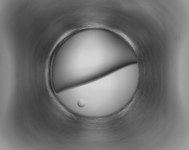 X0000112951142200908241022