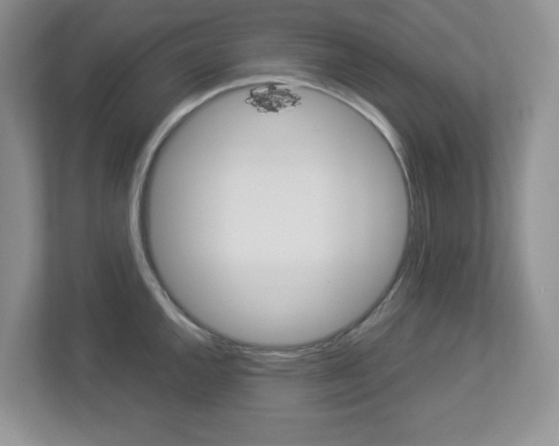X0000112951144200908241022