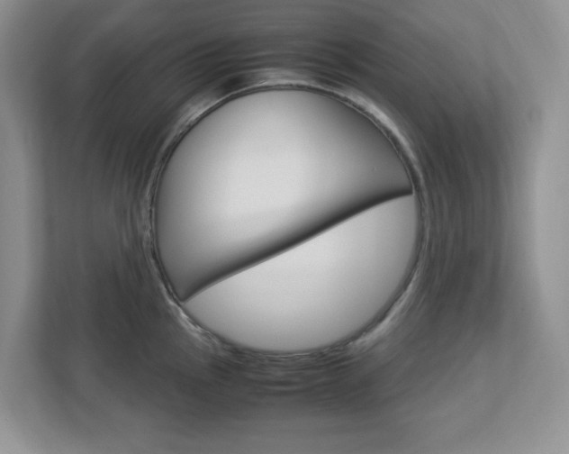 X0000112951145200908241022