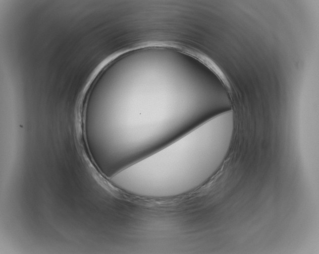 X0000112951148200908241022