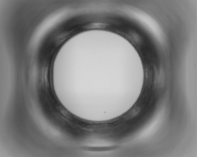 X0000112951150200908241022