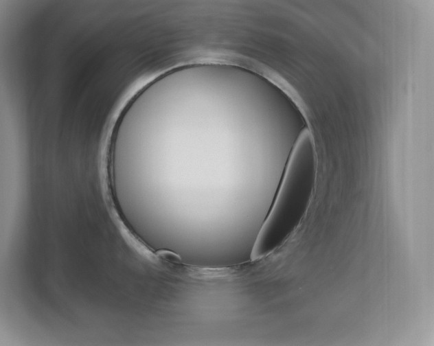 X0000112951152200908241022