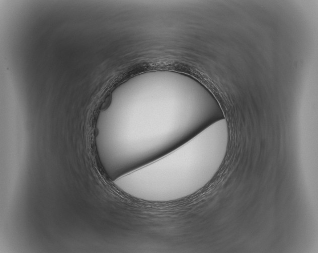 X0000112951153200908241021