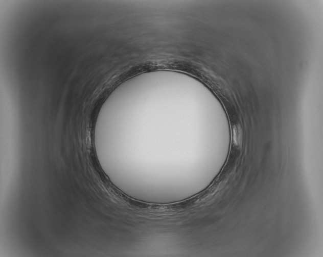 X0000112951155200908241021