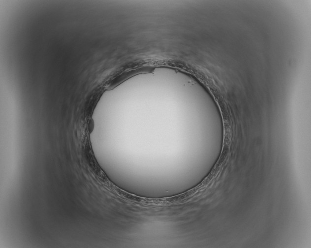 X0000112951157200908241021