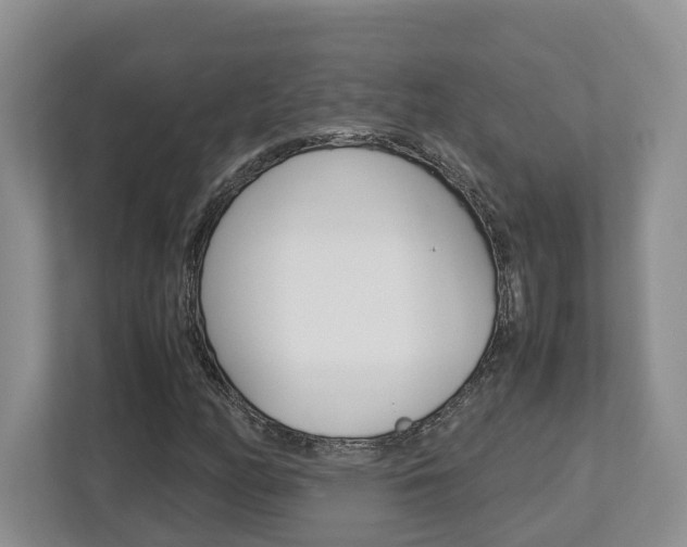 X0000112951158200908241021