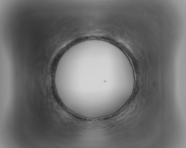 X0000112951159200908241021