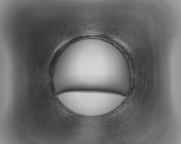 X0000112951160200908241021