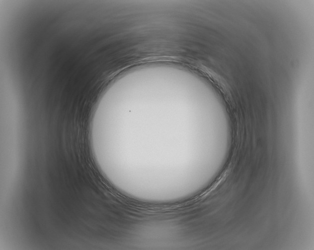X0000112951161200908241021