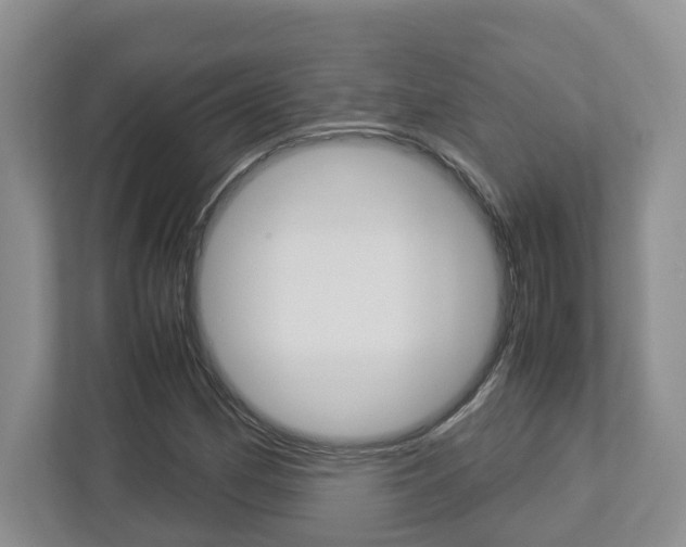 X0000112951162200908241021