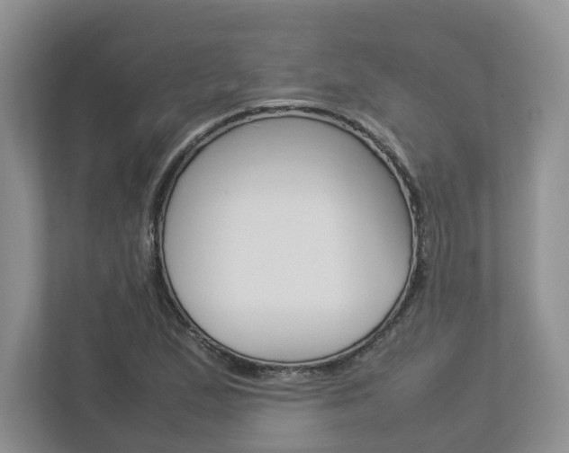 X0000112951167200908241021
