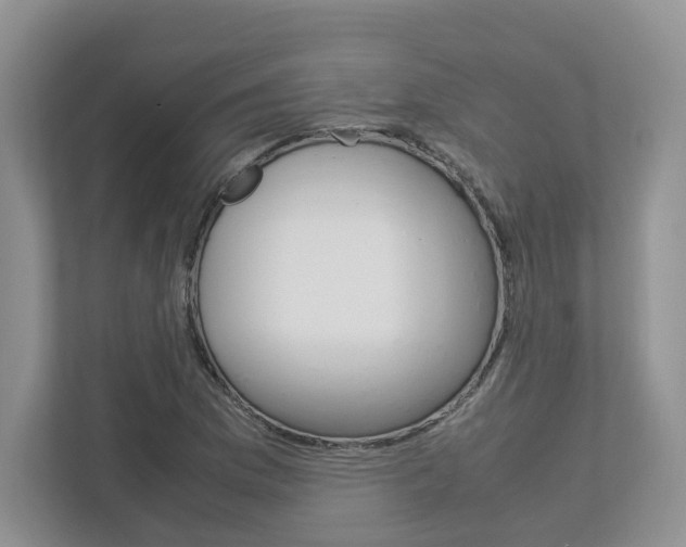X0000112951169200908241021