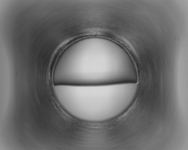 X0000112951172200908241021