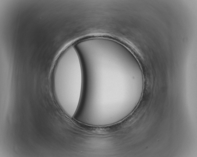 X0000112951175200908241021