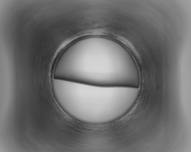 X0000112951176200908241021