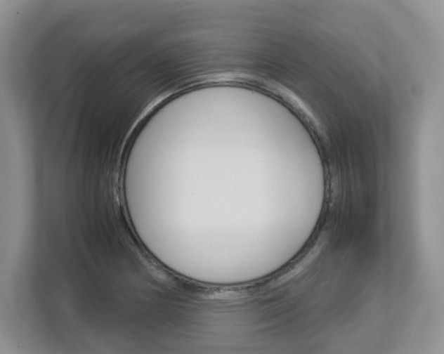 X0000112951178200908241021