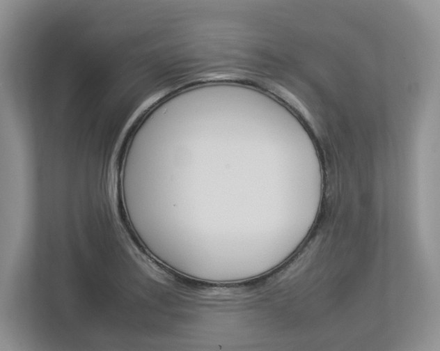X0000112951179200908241021