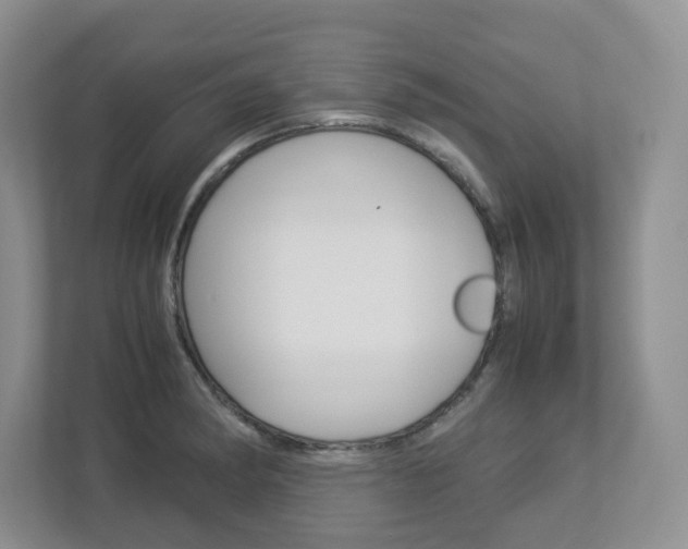 X0000112951182200908241021