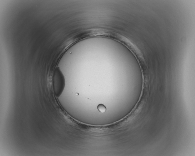 X0000112951185200908241021