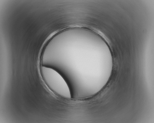X0000112951187200908241021