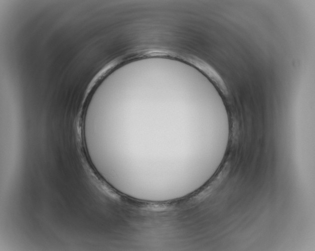 X0000112951190200908241021