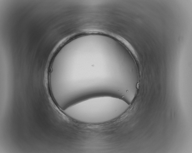 X0000112951191200908241021