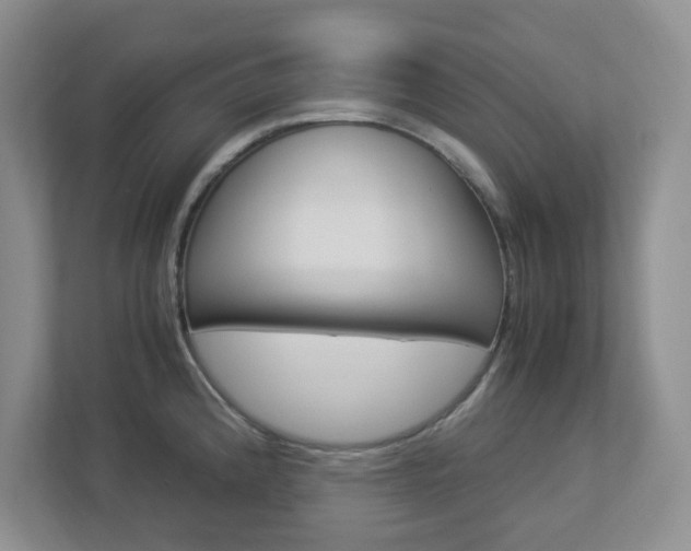 X0000112951192200908241021