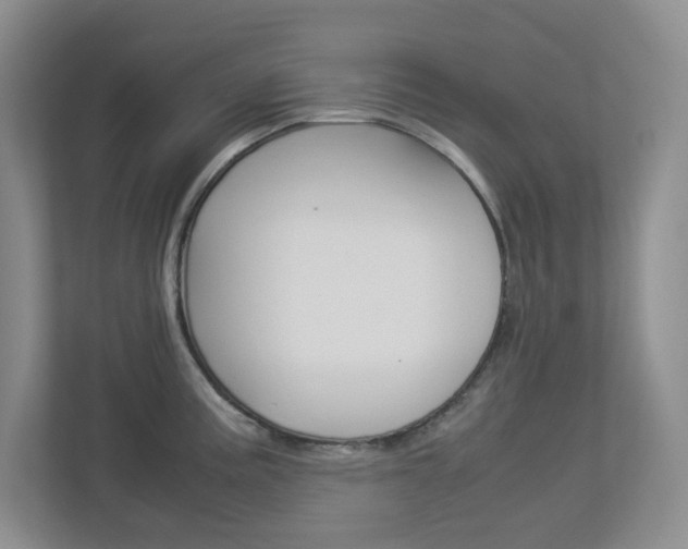 X0000112951195200908241021