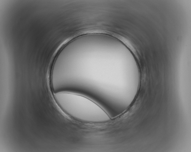 X0000112951197200908241020
