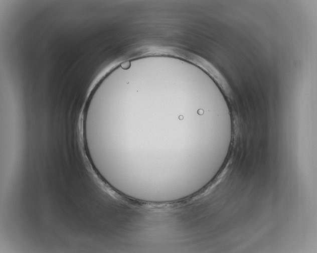 X0000112951198200908241020