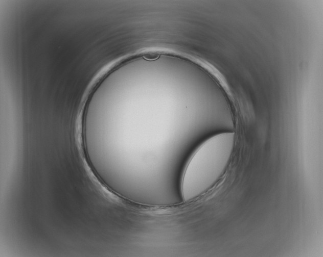 X0000112951199200908241020