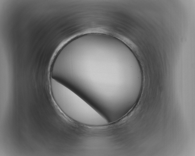 X0000112951200200908241020