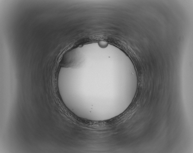 X0000112951201200908241020