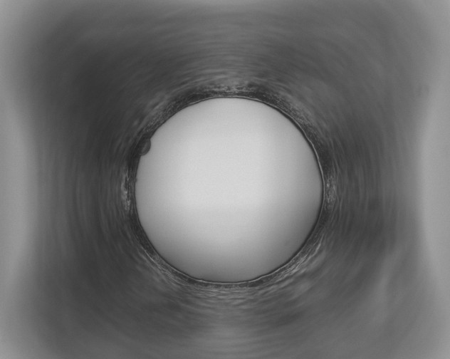 X0000112951202200908241020