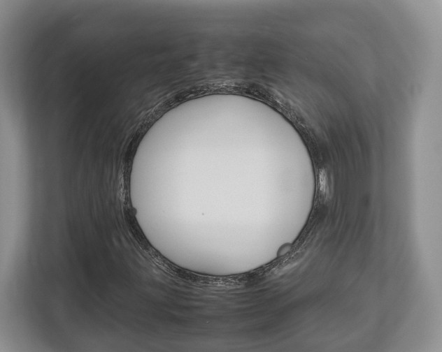 X0000112951203200908241020