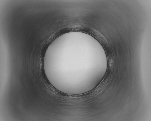 X0000112951204200908241020