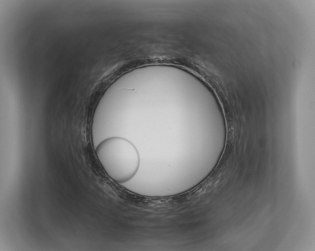 X0000112951205200908241020
