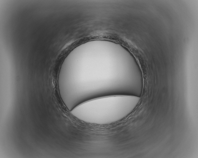 X0000112951206200908241020