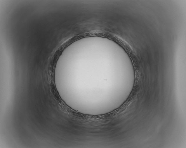 X0000112951207200908241020
