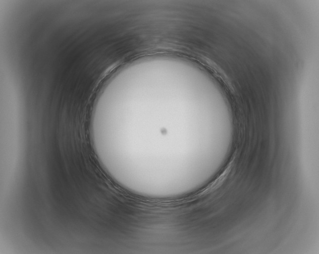 X0000112951210200908241020
