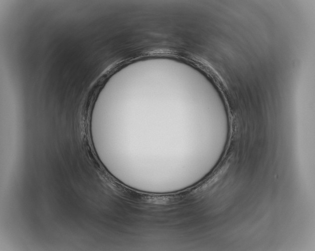 X0000112951211200908241020