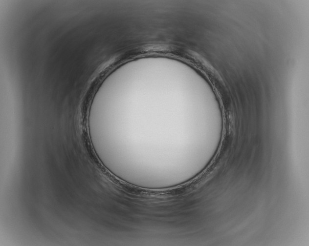 X0000112951213200908241020