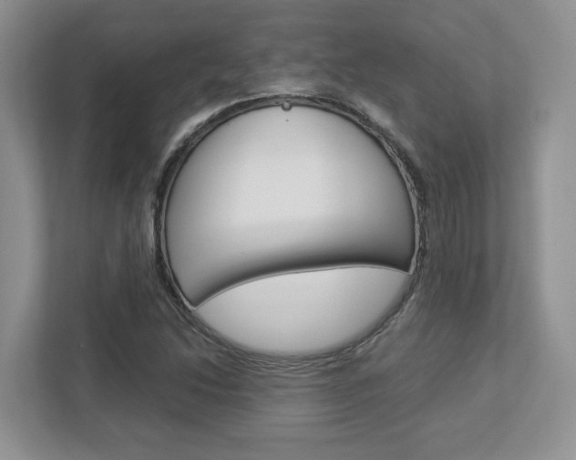 X0000112951214200908241020