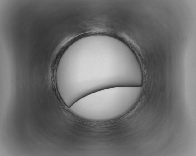 X0000112951215200908241020