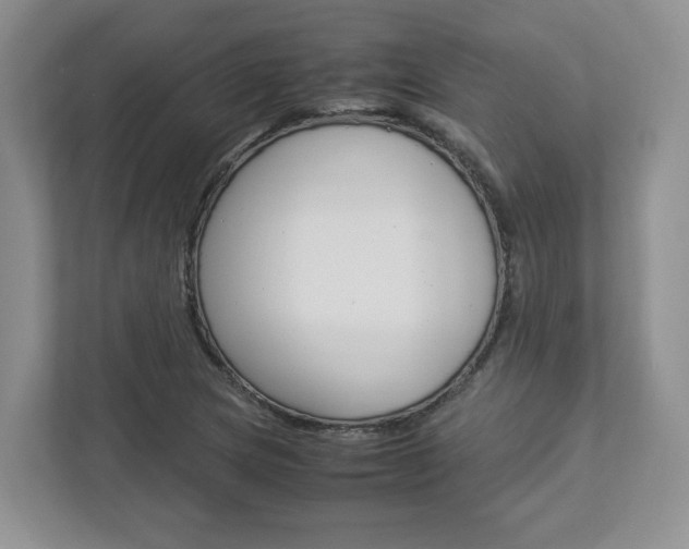 X0000112951217200908241020