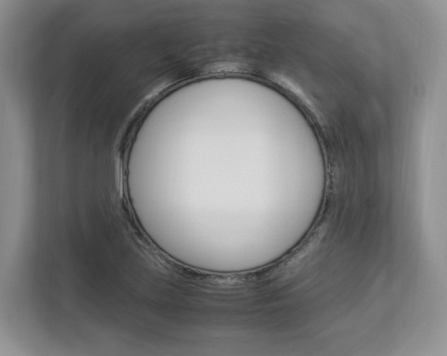 X0000112951219200908241020