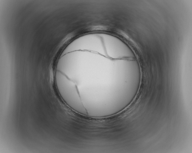 X0000112951221200908241020